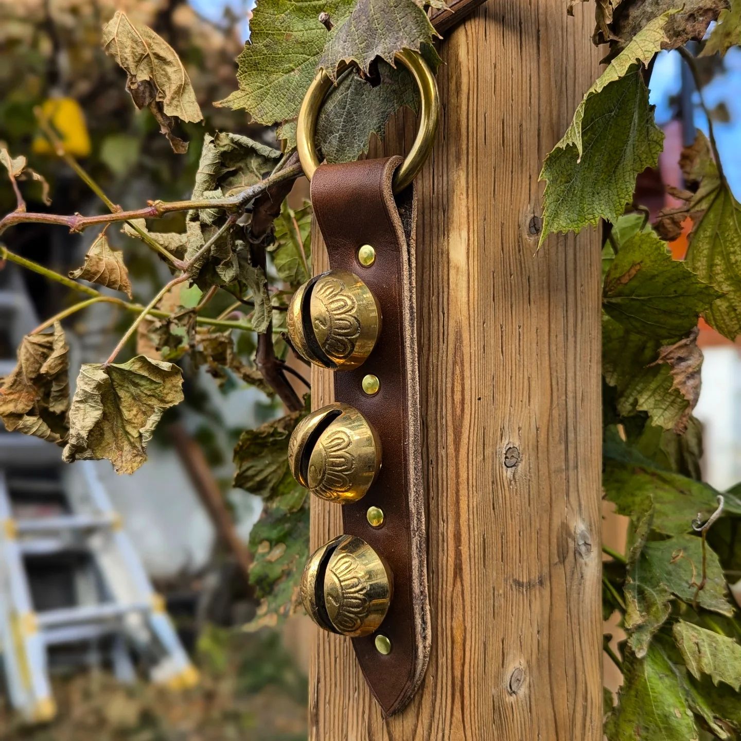 Sleigh Bell Hanger | Brass Sleigh Bells + Tawny Brown Latigo