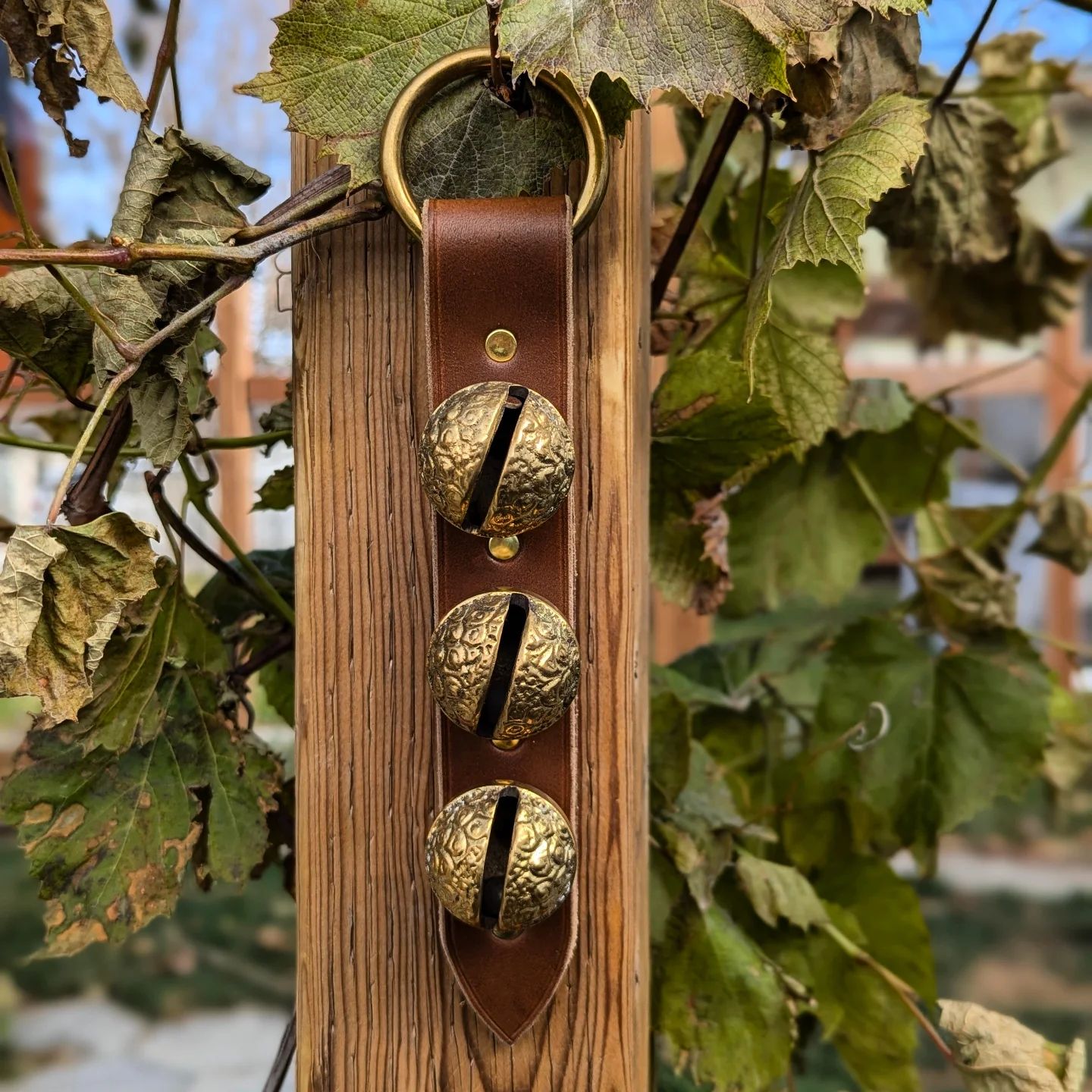 Sleigh Bell Hanger | Brass Raspbery Bells + Tawny Brown Latigo